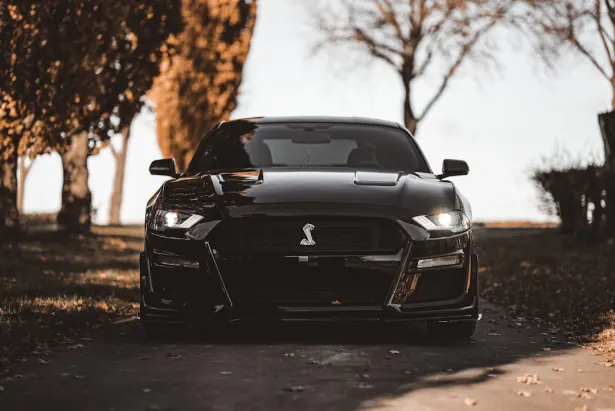 קזינו גולדן פאלאס אפליקציית Android/iOS